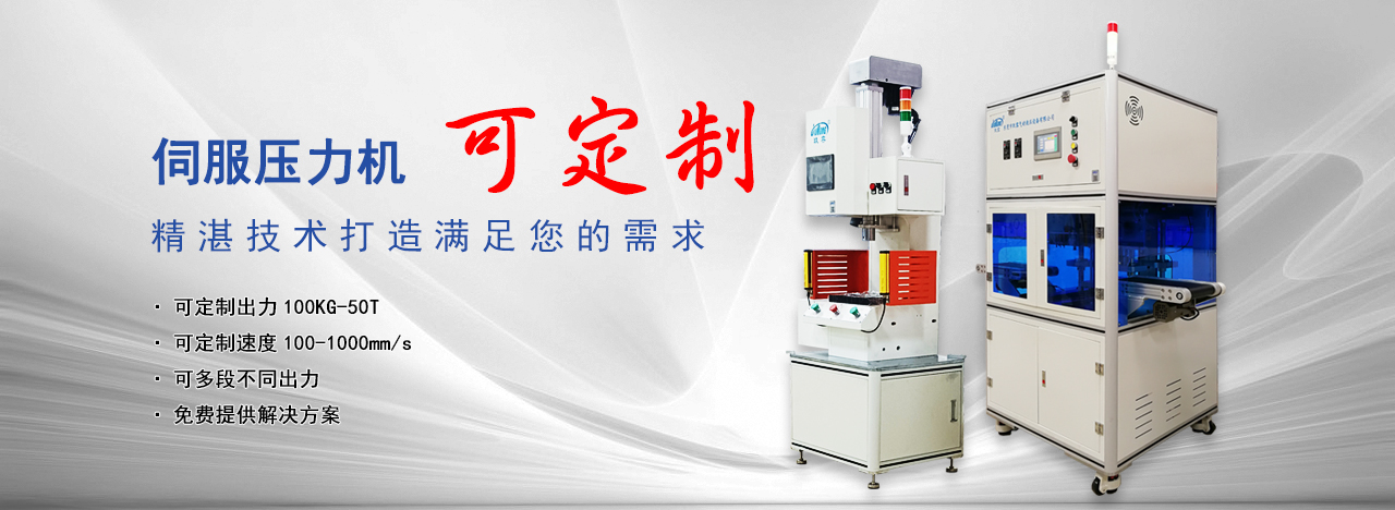 伺服壓力機可定（dìng）製