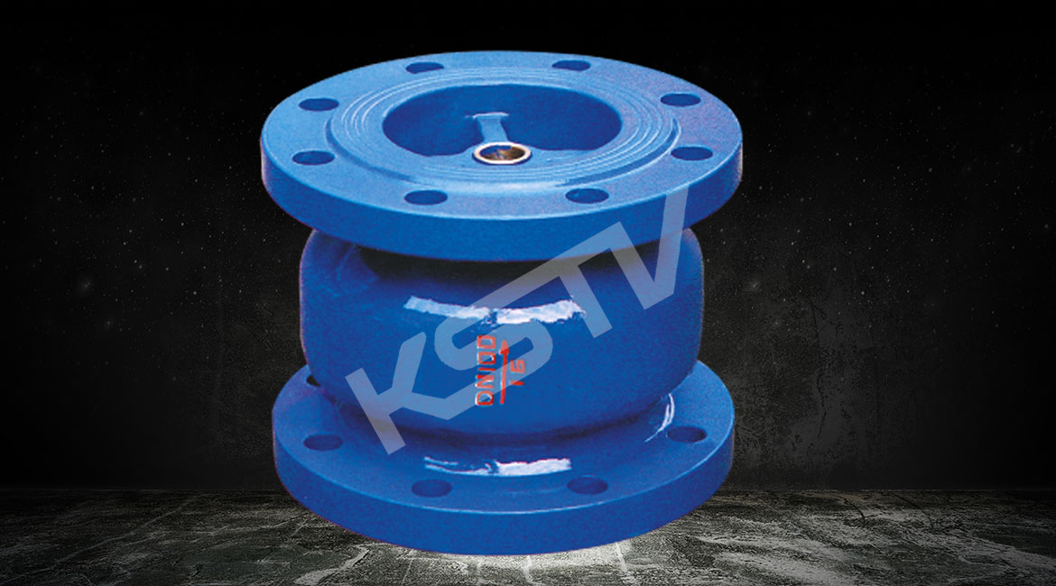 消聲止回（huí）閥